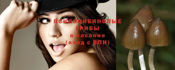 твердый Арсеньев