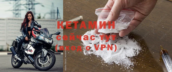 шишки Армянск