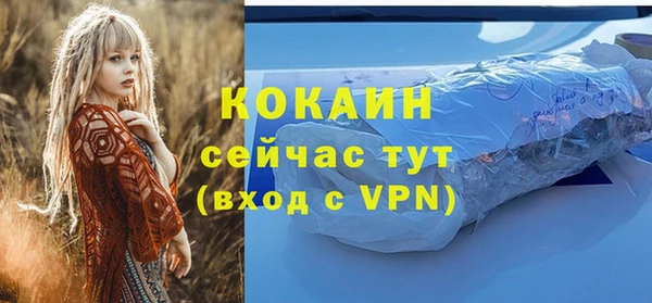 шишки Армянск